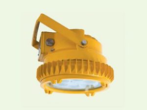 ĐÈN CHỐNG CHÁY NỔ WAROM BDD95