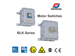 Tủ điều khiển Động Cơ Điện Chống Cháy Nổ Warom BLK Series