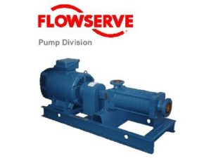 Bơm công nghiệp Flowserve tại Việt Nam