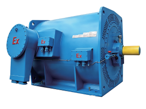 Động cơ cảm ứng chống cháy nổ YBXKK - YBBP 160~7100kW