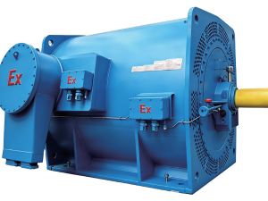 Động cơ cảm ứng chống cháy nổ 160~2240kW