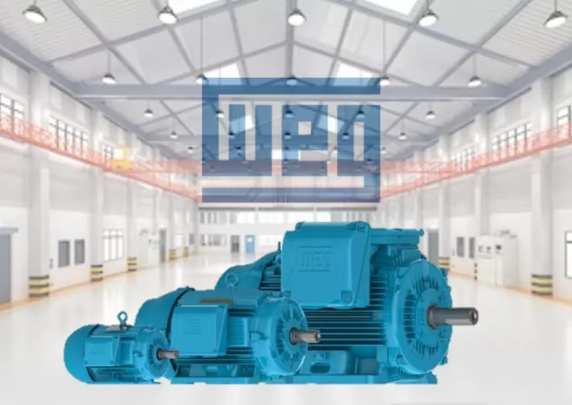 Động cơ điện WEG motors