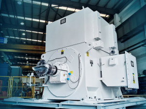 Động cơ điện trung thế WEG High Voltage Motors