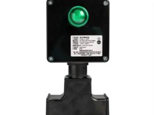 Hộp cấp nguồn cáp gia nhiệt chống cháy nổ có đèn báo PTBS-L-GET