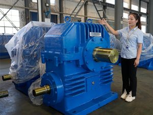CW Series Heavy Duty Worm Gearboxes